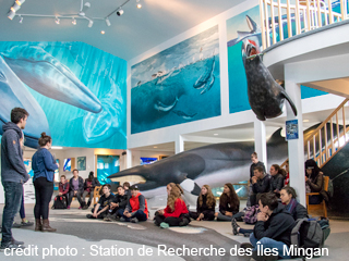 Mingan Island Cetacean Study Interpretation Center (MICS) - Côte-Nord