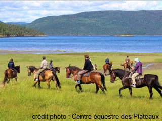 Centre équestre des Plateaux - Saguenay–Lac-Saint-Jean