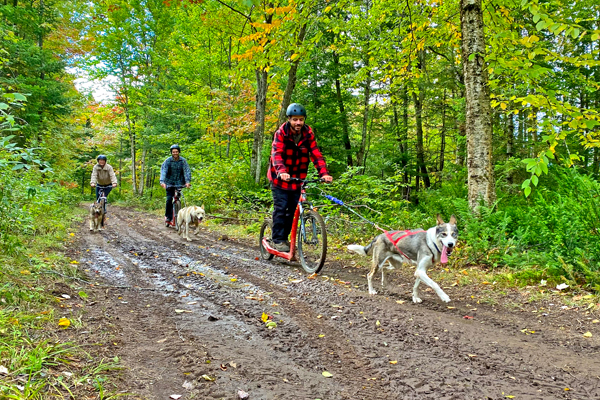 Au Chalet en Bois Rond