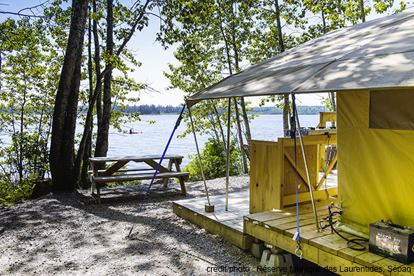 Campground at Réserve faunique des Laurentides