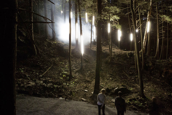Foresta Lumina - Parc de Coaticook la de Gorge