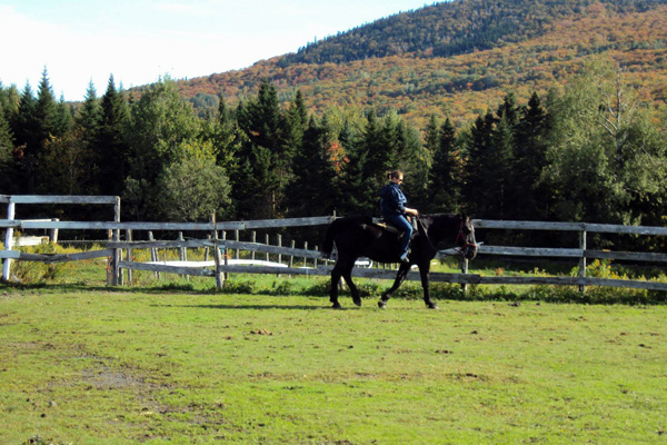 Ranch Massif du Sud / #CanadaDo / Best Horseback Riding Places in Quebec