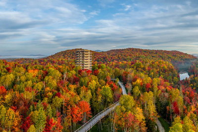 The Odyssey of Colors - Autumn at the Sentier des Cimes