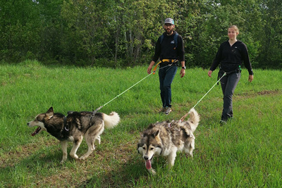 Cani-rando & Canicross with the sled dogs