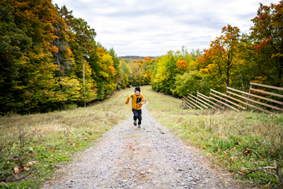 Access to the Colours Festival