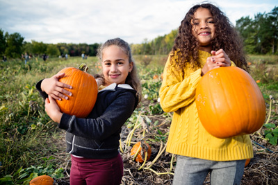  Pumpkin and squash picking