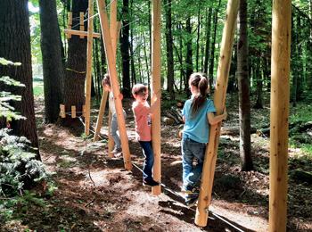 Kids playing in a play structure in the forest.