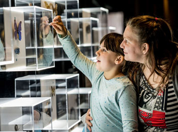 Mother and daughter looking at an exhibit.