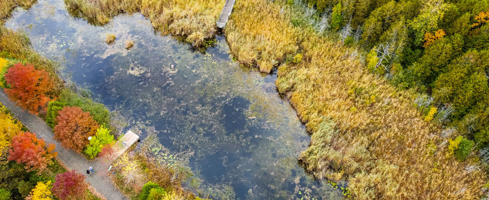 Aerial view of the marshes at Marais de la Rivière-aux-Cerises.