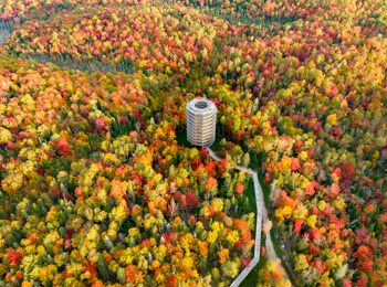 Aerial view of the panoramic tower at Sentier des cimes.