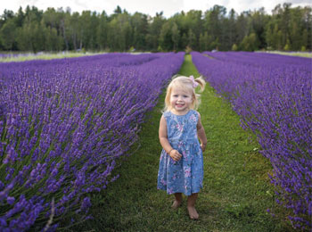 Little girl in the lavender fields at Bleu Lavande