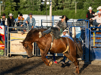 Rodeo at the St-Hyacinthe county fair.