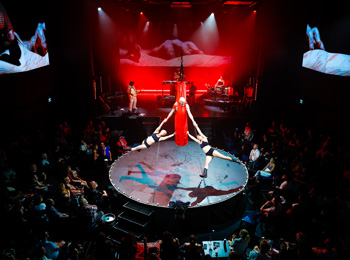 Acrobats on stage during the BARBU circus show.