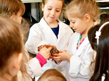 Group of young children in lab coats observing a frog.