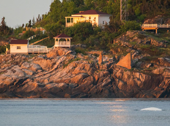 Saguenay–St. Lawrence Marine Park