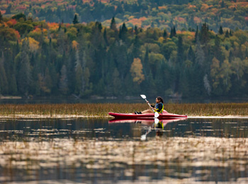 Young woman on a kayak on a lake in the Mont-Tremblant national park in the fall.