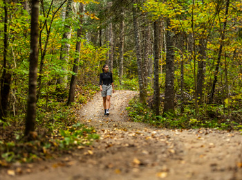 Young woman on a hiking trail in the forest in the fall