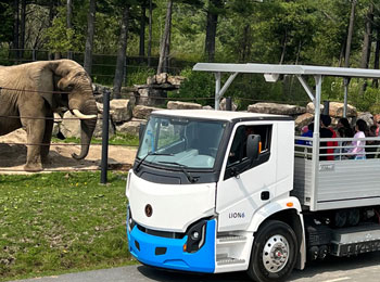 Blue safari truck with passengers in front of an elephant.