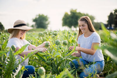 Harvests and discoveries to pamper your taste buds in the Saint-Hyacinthe area