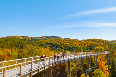 Fall is in full swing: here are 4 ways to make the most of the season!