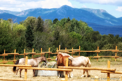 Go horseback riding at Les Montagnards de Charlevoix