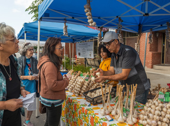 Garlic stand at a market, with vendors and clients discussing.