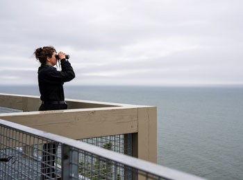 Woman watching belugas in Bas-St-Laurent