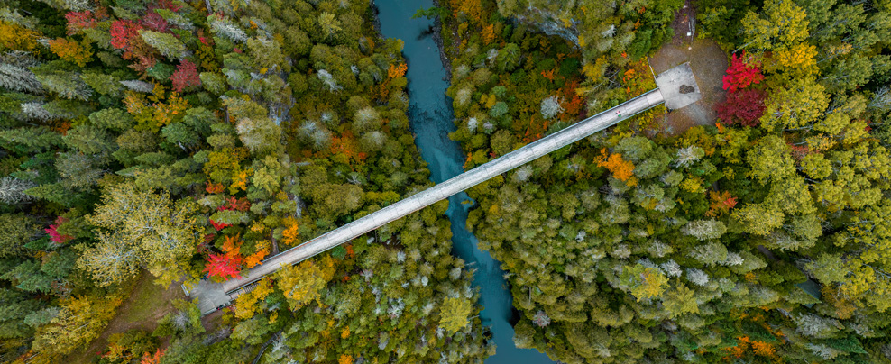 Aerial view of the Hell's Gate Canyon suspension bridge.