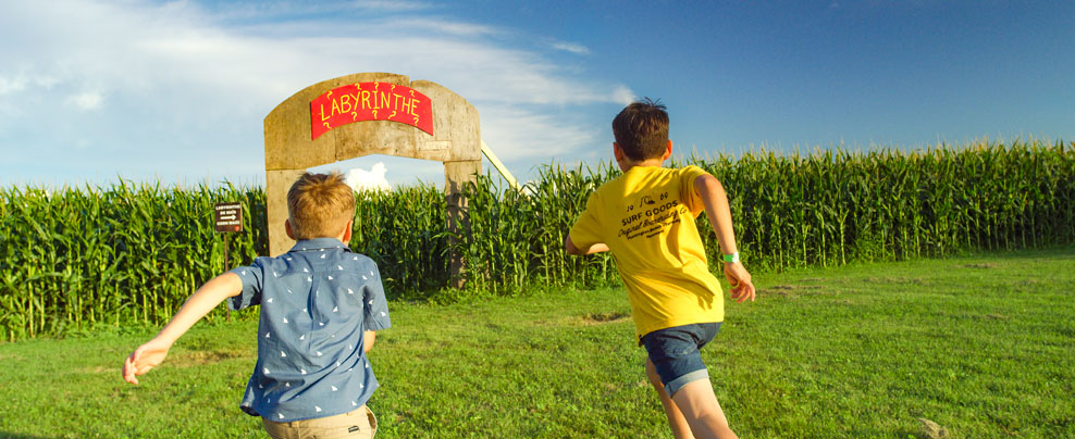 Two boys running towards a corn maze.