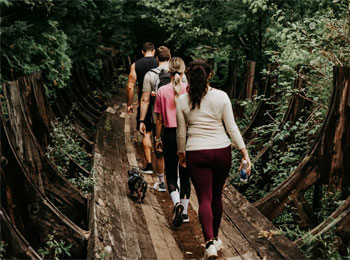 Group of people walking on an old wooden structure in the heart of the forest.
