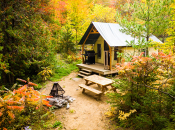 Cottage in the forest in a fall setting.