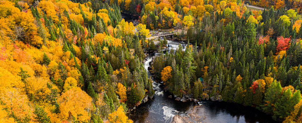 Bird’s-eye view of a fall landscape in hues of green and yellow.