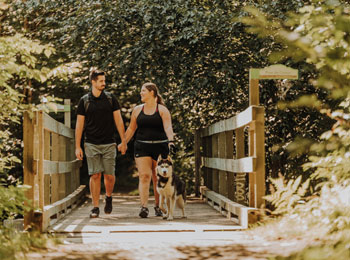 Couple with a dog hiking in a wooded area.