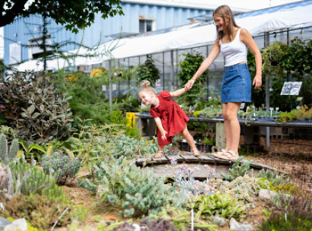 Two young girls observing a cactus and succulent garden.