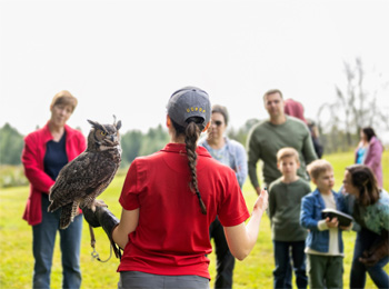 Guide giving a presentation with an owl in front of a few people.