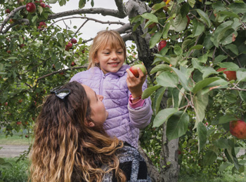 Mother and daughter picking apples.