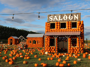 The display at the Citrouilleville attraction including a saloon build out of pumpkins.