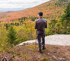 Fall foliage festivals