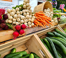Farmers’ markets to visit